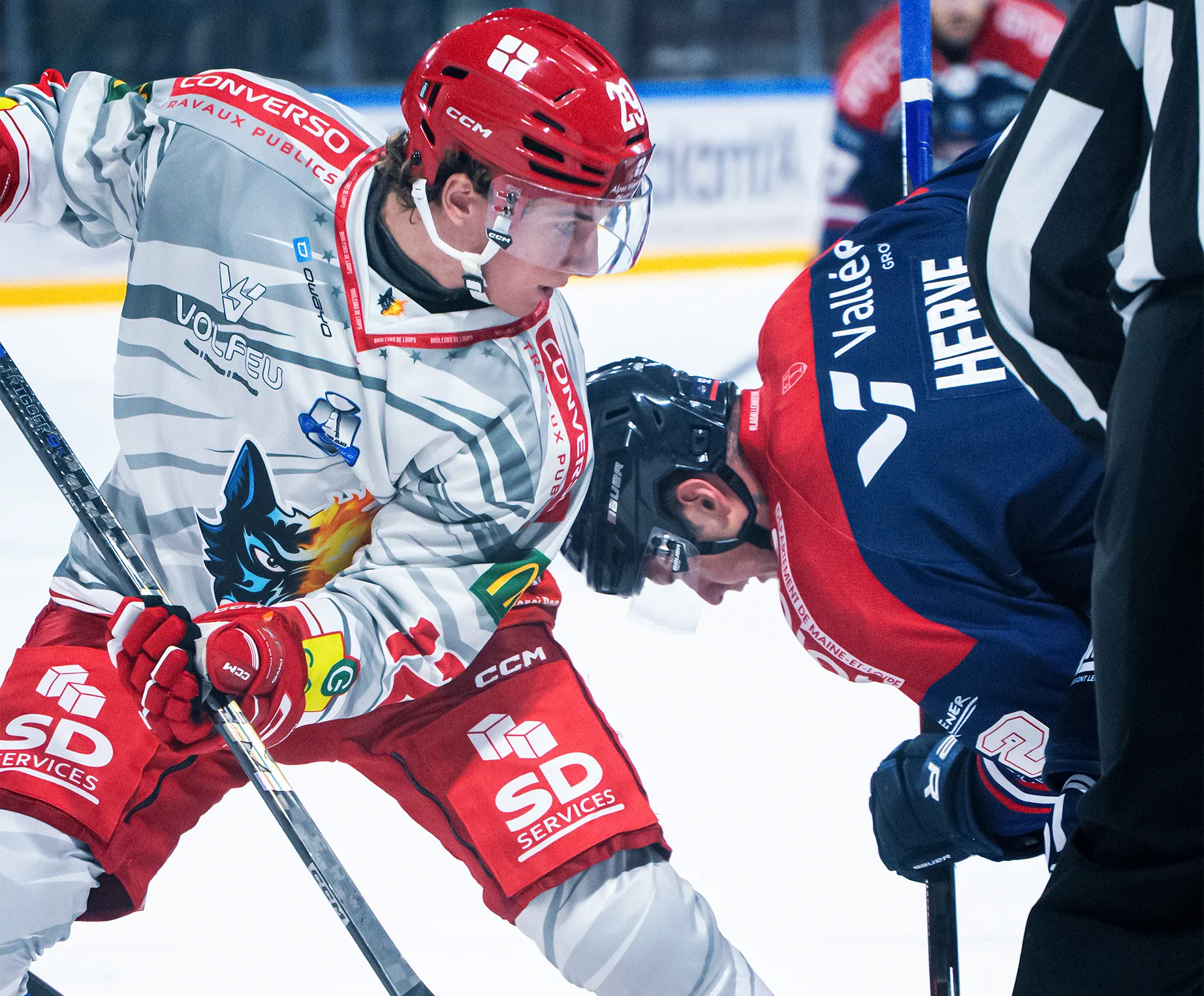 Deux joueurs de hockey sur glace se font face, prêts pour un engagement, l'un portant un maillot gris et rouge avec un design de loup.