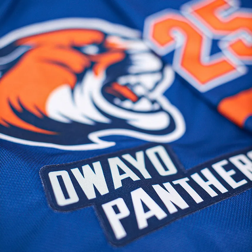 Gros plan d'un maillot de sport bleu avec un logo de tigre et le numéro 25.